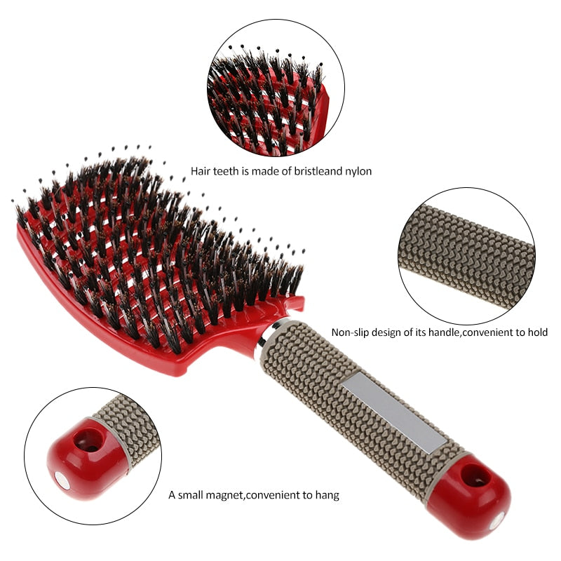 Detangling Hairbrush Scalp Massage Comb Hairdressing Styling Tools