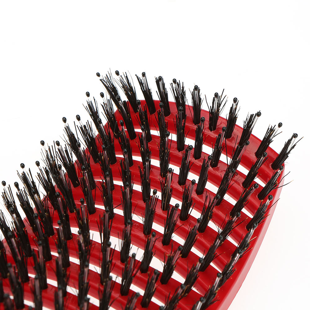 Detangling Hairbrush Scalp Massage Comb Hairdressing Styling Tools