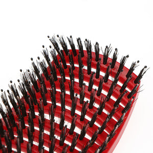 Detangling Hairbrush Scalp Massage Comb Hairdressing Styling Tools